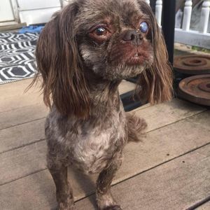 Meet your Posher, Jodi